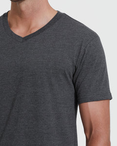 True ClassicCharcoal Heather Gray V-Neck Tee