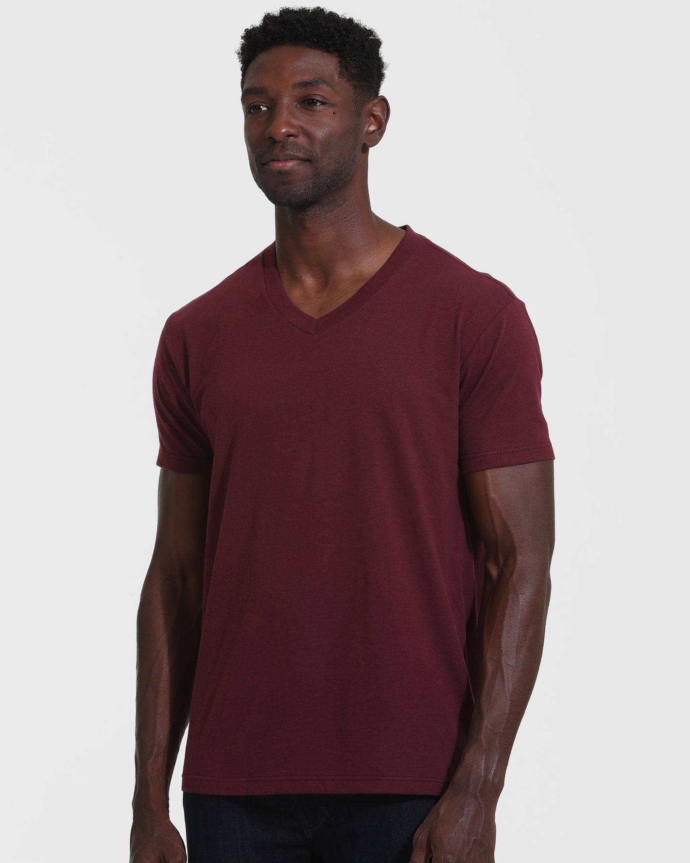Mahogany V Neck T Shirt on male model against plain background.