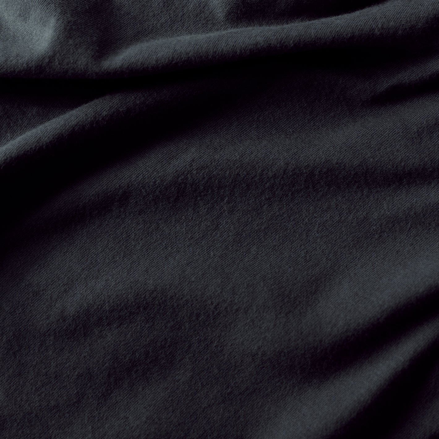 Carbon Classic Long Sleeve Crew Neck