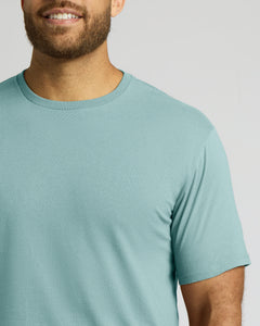 True ClassicA close-up of a man wearing a light blue crew-neck t-shirt against a solid light gray background.