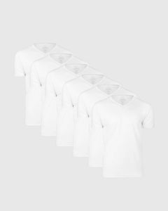 True ClassicAll White V-Neck Tee 6-Pack