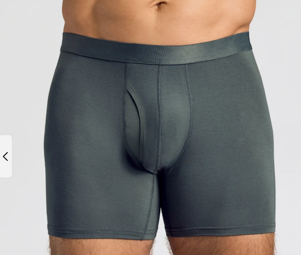 Briefs w/ Fly