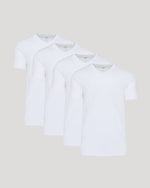 White Premium Pima V-Neck 4-Pack