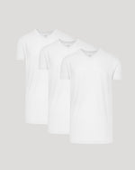 White Tall Classic V-Neck 3-Pack